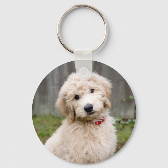 Goldendoodle Puppy Sits In Grass Key Ring (Front)