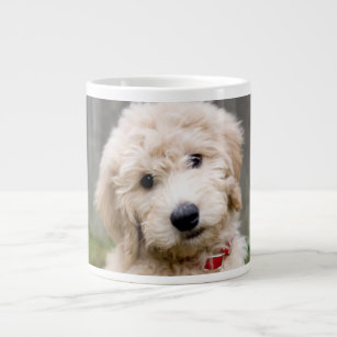 Goldendoodle Puppy Sits In Grass Large Coffee Mug