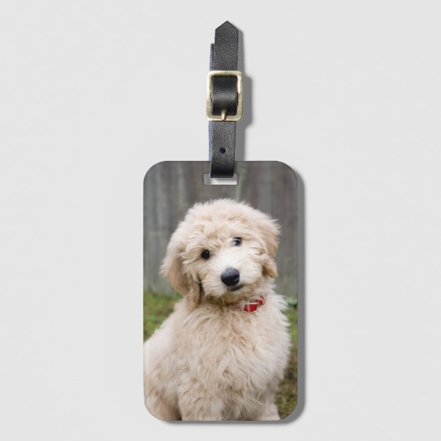 Goldendoodle Puppy Sits In Grass Luggage Tag (Front Vertical)