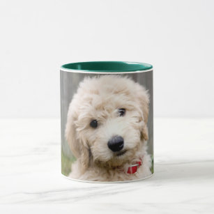 Goldendoodle Puppy Sits In Grass Mug