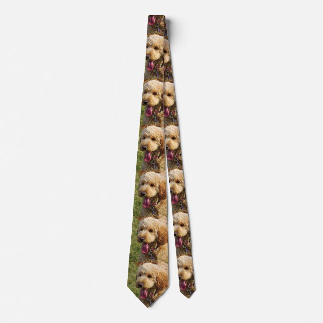 Goldendoodle Puppy Tie (Front)