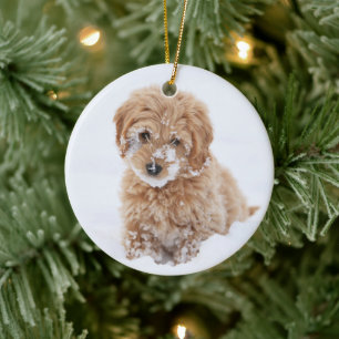 Goldendoodle Puppy With Snow On Face Ceramic Tree Decoration