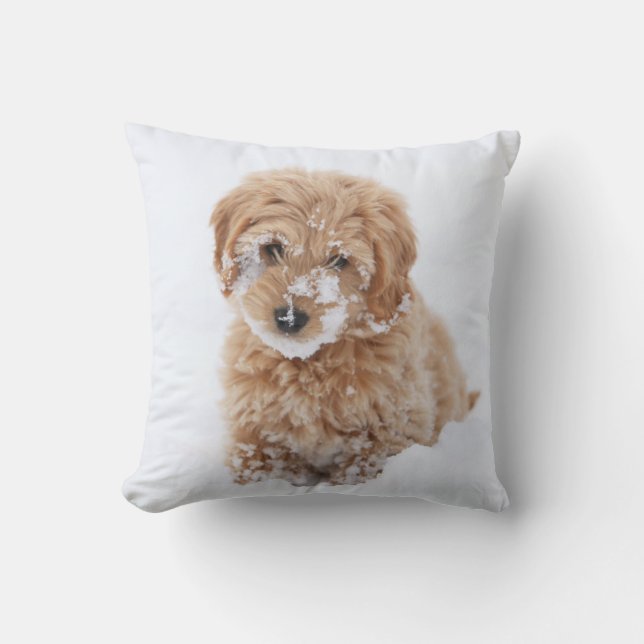 Goldendoodle Puppy With Snow On Face Cushion (Front)