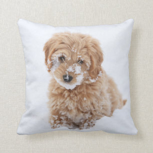 Goldendoodle Puppy With Snow On Face Cushion