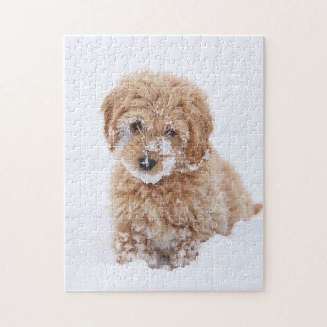 Goldendoodle Puppy With Snow On Face Jigsaw Puzzle (Vertical)