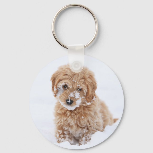 Goldendoodle Puppy With Snow On Face Key Ring (Front)