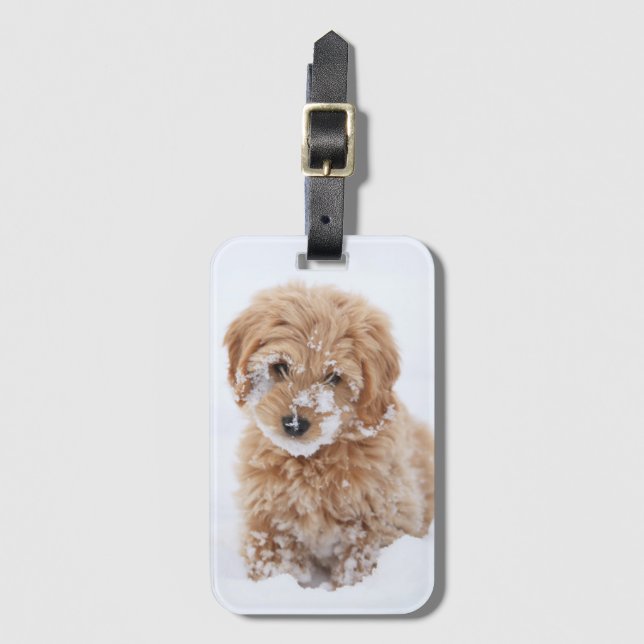 Goldendoodle Puppy With Snow On Face Luggage Tag (Front Vertical)