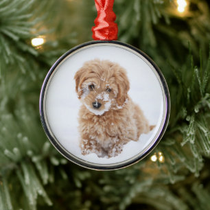 Goldendoodle Puppy With Snow On Face Metal Tree Decoration
