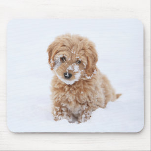 Goldendoodle Puppy With Snow On Face Mouse Mat