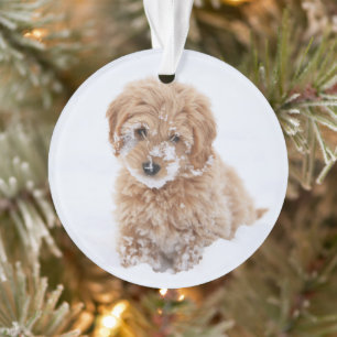 Goldendoodle Puppy With Snow On Face Ornament