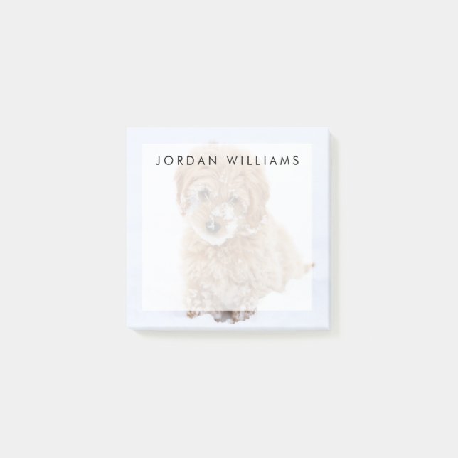 Goldendoodle Puppy With Snow On Face Post-it Notes (Front)