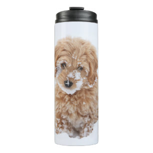 Goldendoodle Puppy With Snow On Face Thermal Tumbler