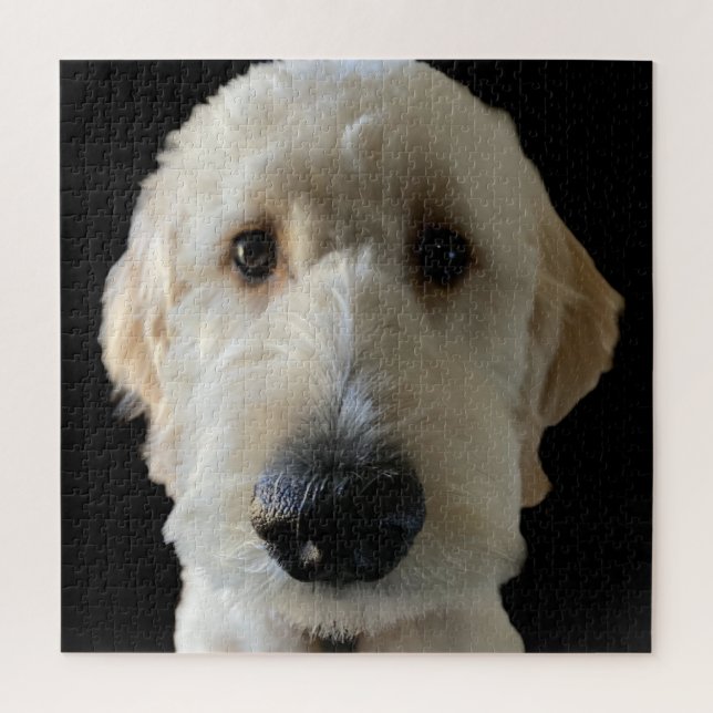Goldendoodle Puzzle (Vertical)