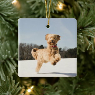 Goldendoodle Running Through Field Ceramic Ornament