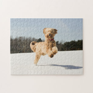 Goldendoodle Running Through Field Jigsaw Puzzle