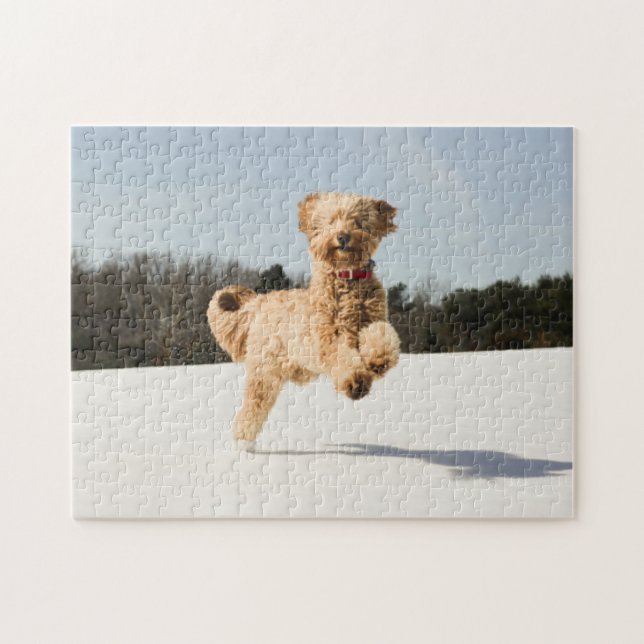 Goldendoodle Running Through Field Jigsaw Puzzle (Horizontal)