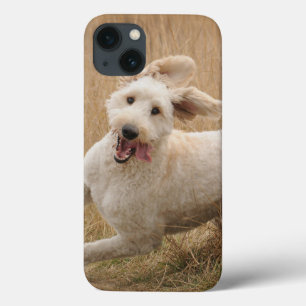 Goldendoodle Runs Through Grass iPhone 13 Case