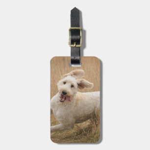 Goldendoodle Runs Through Grass Luggage Tag
