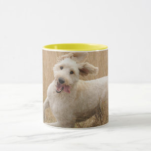 Goldendoodle Runs Through Grass Mug