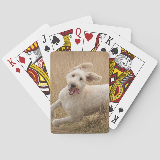 Goldendoodle Runs Through Grass Playing Cards (Back)