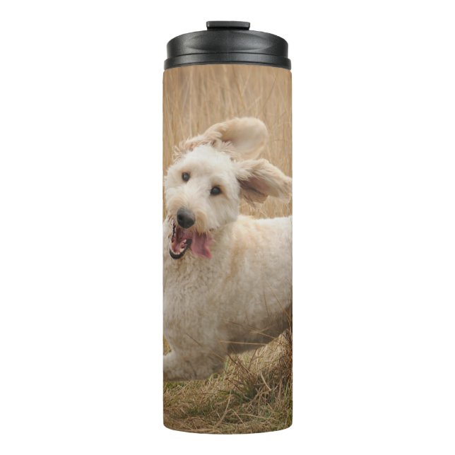 Goldendoodle Runs Through Grass Thermal Tumbler (Front)