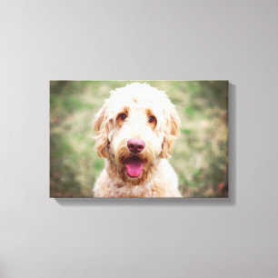 Goldendoodle Smiling Canvas Print