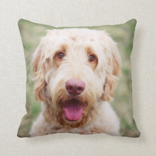 Goldendoodle Smiling Cushion