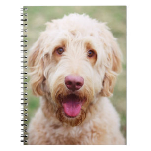 Goldendoodle Smiling Notebook