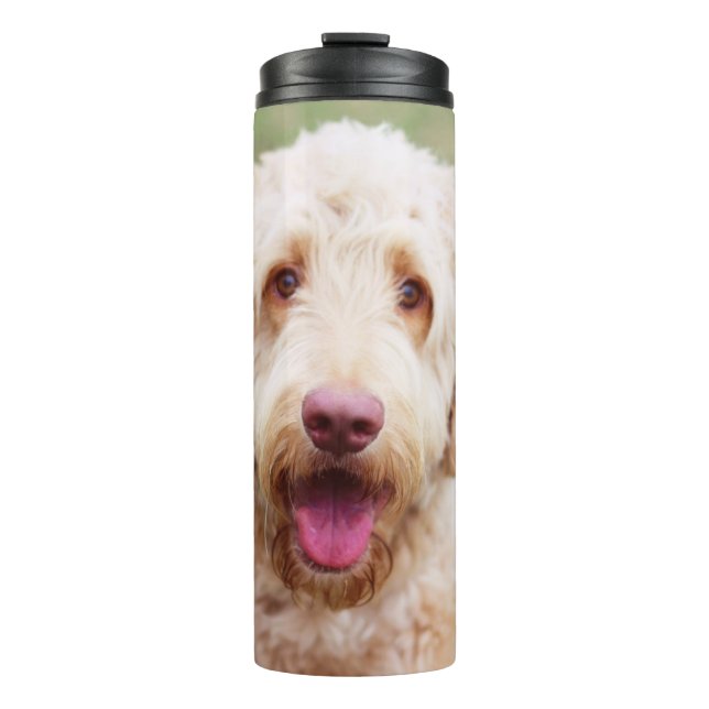 Goldendoodle Smiling Thermal Tumbler (Front)