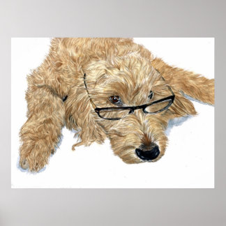 Goldendoodle Stella Print
