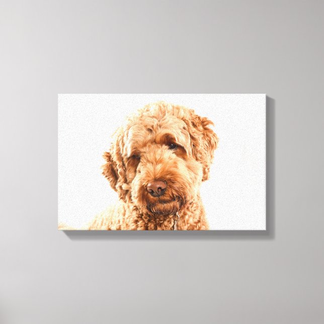 Goldendoodle Studio Portrait Canvas Print (Front)