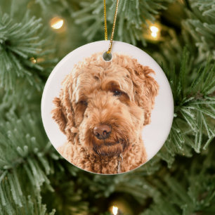Goldendoodle Studio Portrait Ceramic Tree Decoration