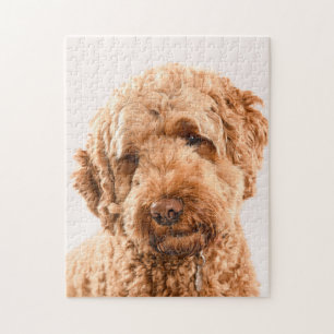 Goldendoodle Studio Portrait Jigsaw Puzzle
