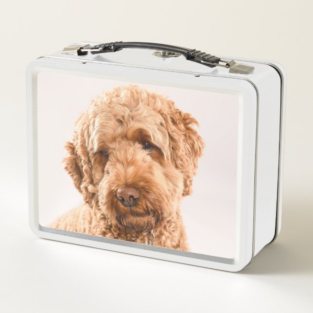 Goldendoodle Studio Portrait Metal Lunch Box (Back)