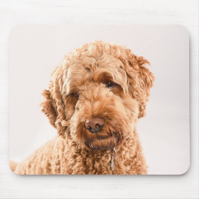 Goldendoodle Studio Portrait Mouse Mat (Front)