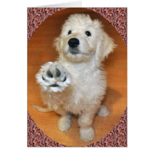 Goldendoodle Talk to the Paw card