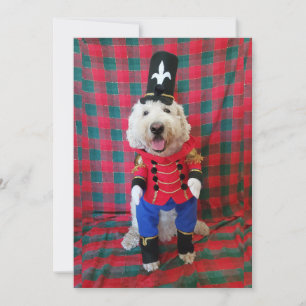 Goldendoodle Toy Soldier Holiday Christmas Card