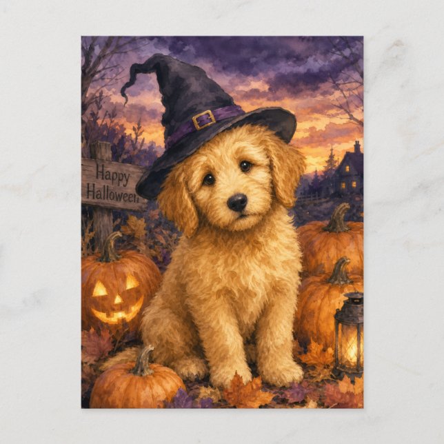 Goldendoodle Witch Hat Pumpkin Postcard (Front)