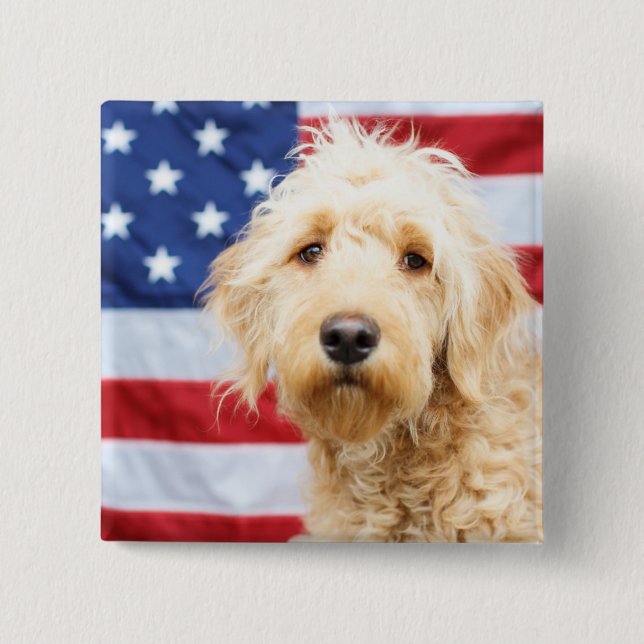 Goldendoodle With American Flag 15 Cm Square Badge (Front)