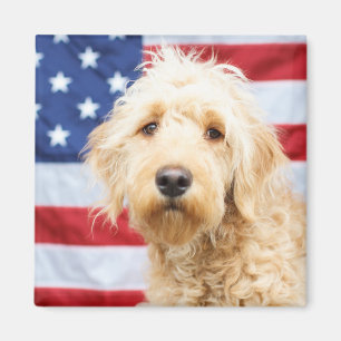 Goldendoodle With American Flag Magnet