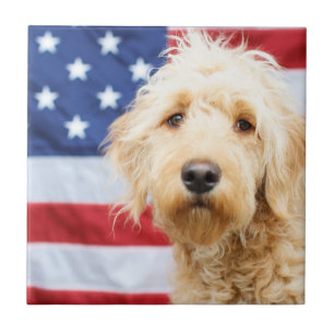 Goldendoodle With American Flag Tile