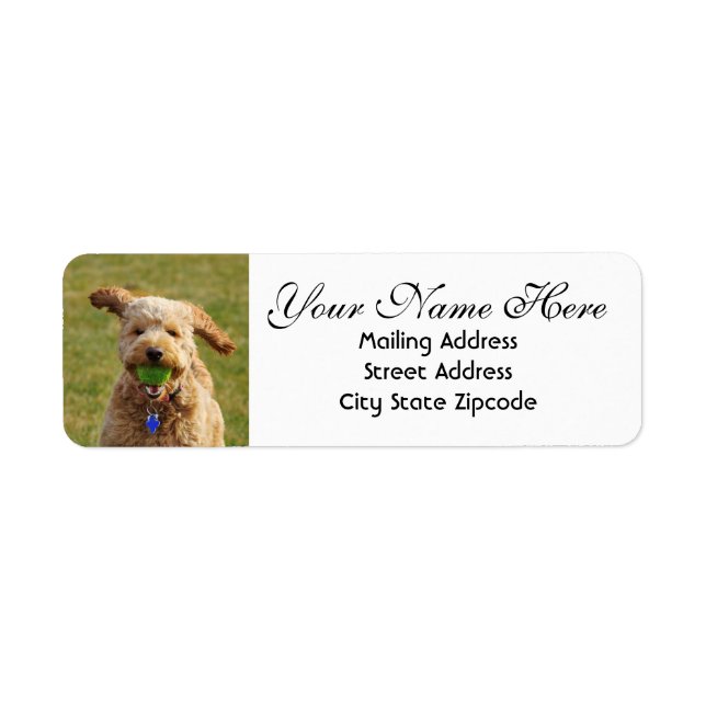 Goldendoodle with Ball Return Address (Front)