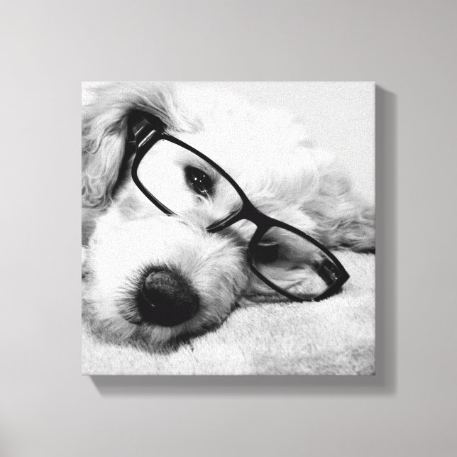 Goldendoodle With Glasses Canvas Print (Front)