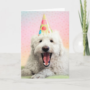 Goldendoodle With Party Hat Card