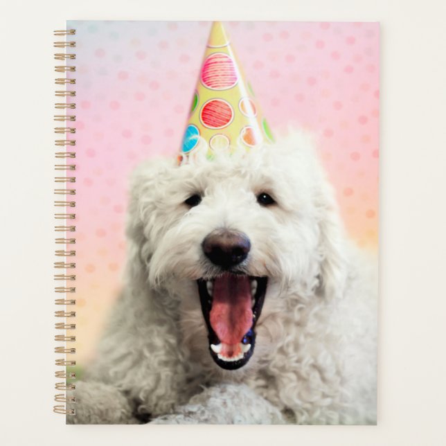 Goldendoodle With Party Hat Planner (Front)