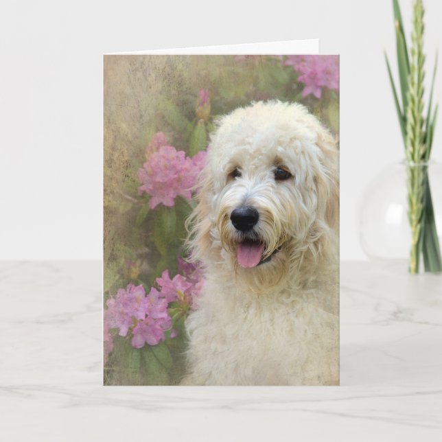 Goldendoodle with Texture Card (Front)