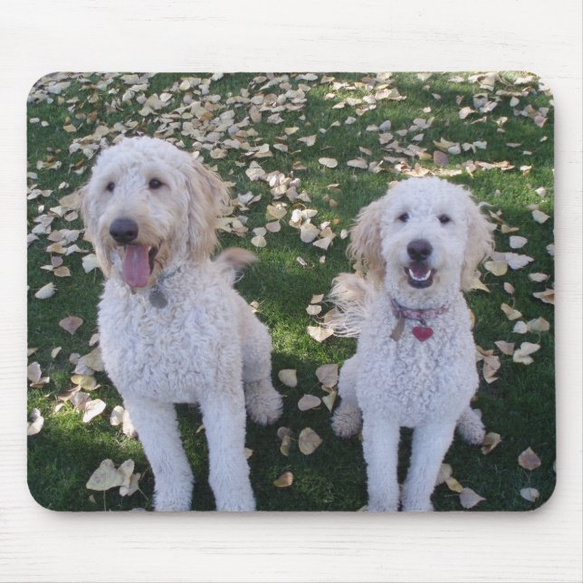 GoldenDoodles in the Fall Leaves Mouse Mat (Front)