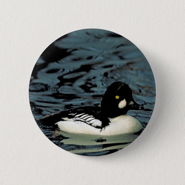 Goldeneye Duck 6 Cm Round Badge (Front)