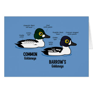 Goldeneye vs Goldeneye