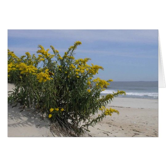Goldenrod by the Sea Card